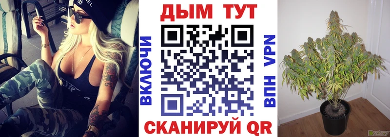 Каннабис ГИДРОПОН  Малаховка 